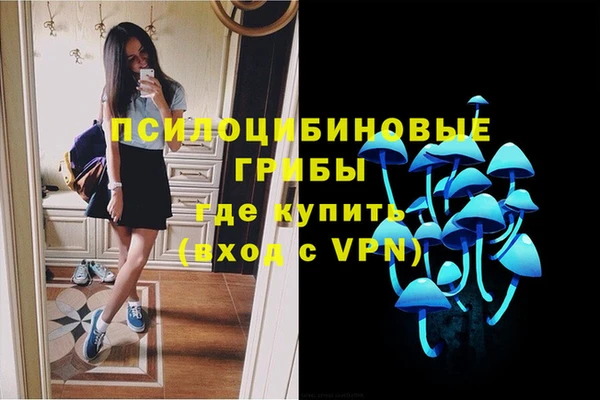 кокс Алзамай