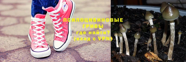 кокс Алзамай