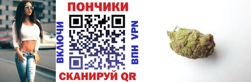 купить Бологое Шишки марихуана THC 21%